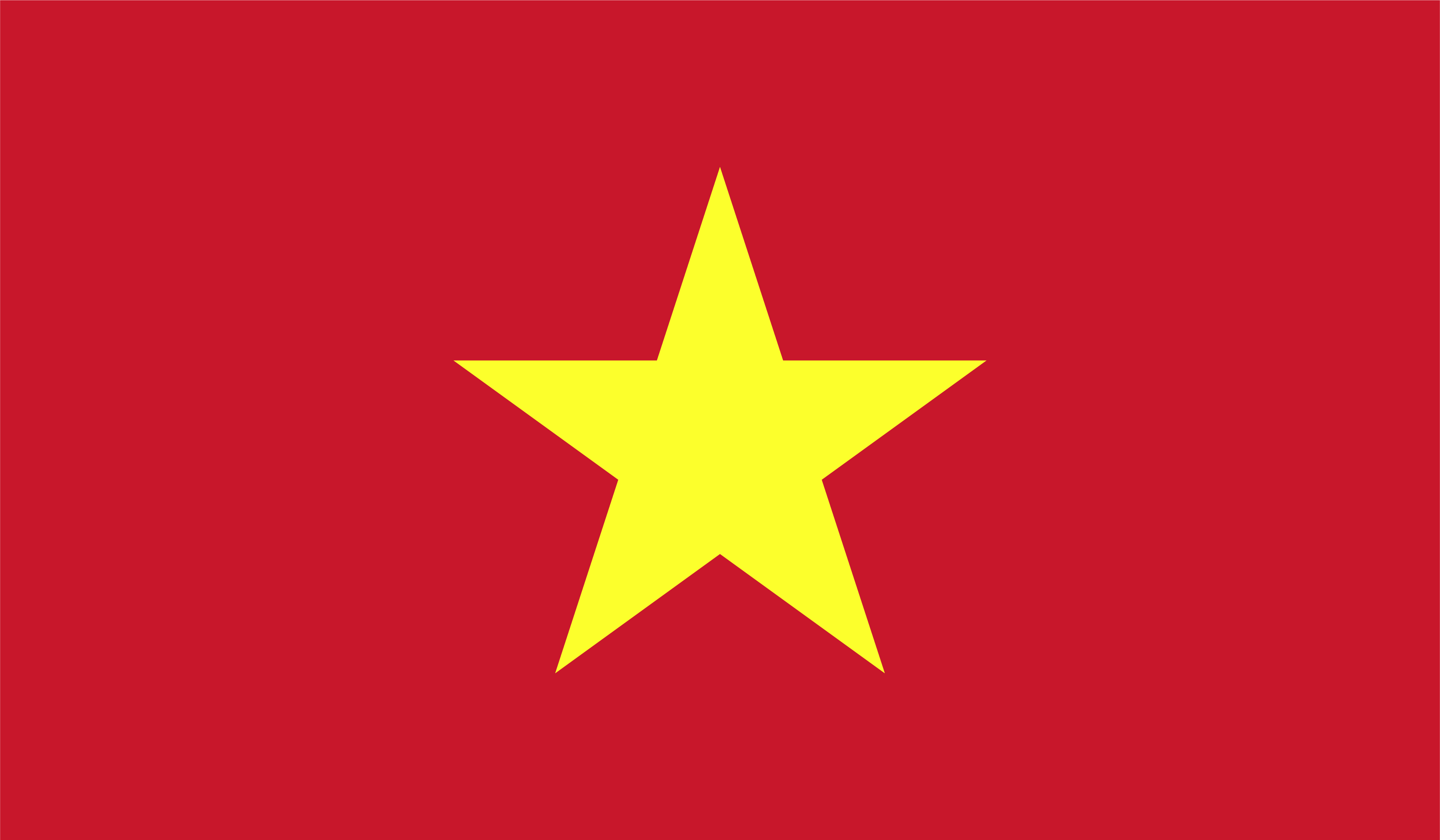 vn