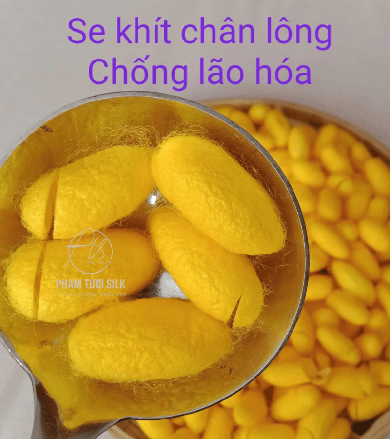 ken-to-tam-giup-chong-lao-hoa-lan-da